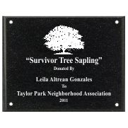 Black AcrylaStone Exterior Plaque with Holes