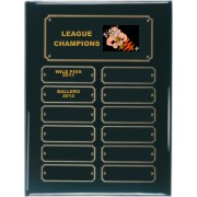 Perpetual Black Piano Finish Fantasy Football Plaque